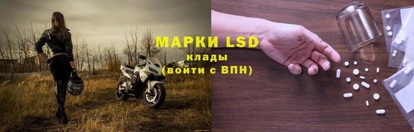 крисы Верея