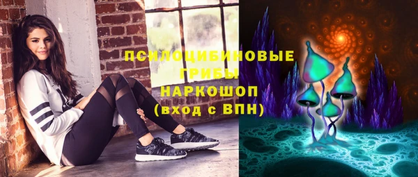 крисы Верея