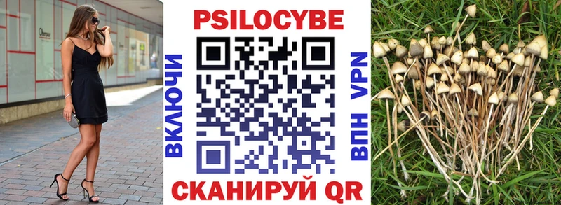 Галлюциногенные грибы GOLDEN TEACHER  Иркутск 